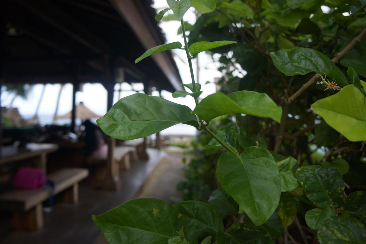 Puri Pandan Restaurant And Bungalow Кандидаса Экстерьер фото